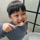 썬덴탈코리아 네이버블로그