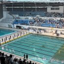 아이쿠아 수영장 | [아이쿠아 수영장]2026년 인천광역시 교육감배 수영 대회 참가 후기🏊‍♂️