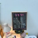 눈썹쟁이 | 수원 인계동속눈썹펌 냄새 거의 없었던 눈썹쟁이 블랙크리닉워밍펌 후기
