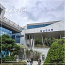설림도서관(자료열람실) | 판교도서관 주차 요금 주말 열람실 노트북 구내식당 까지