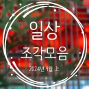 [일상 조각 모음] 9월 1-3주 &#34;모아둔 일상 조각 풀기&#34; (임영웅 콘서트 영화 / 피크닉 / 중국출장 / 광주...