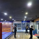 분당W복싱센터 이미지