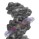 EOS PC ZONE 이미지