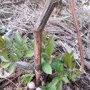 참 좋은 농장 이미지