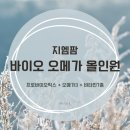 [리뷰] 한 알로 해결! 지엠팜 바이오 오메가 올인원 (프로바이오틱스 + 오메가3 + 비타민7종) 영양제 후기