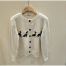 도그메종 이미지