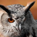 ACE컨설팅&행정사사무소 이미지