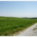 증도농장 이미지