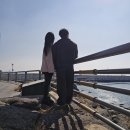 해성파크 | 해동용궁사 해운대블루라인파크 해변열차 청사포등대...음식 해운대바다 해성막창 곱창전골 위스키라운지