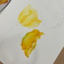 세밀색연필화 이미지