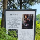 동화나라 애견 이미지