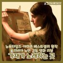 영화 &lt;가재가 노래하는 곳&gt; 후기, 서정적이면서도 반전까지 완벽한 작품 리뷰