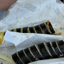 홍성농협 | [예산/태안] 충남 1박 2일 여행 태안 맛집 안면도 맛집 안면도 안면도 낚시 숙소, 게국지 맛집 후기