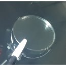 365자동차광택 | 인천 부천자동차유리복원 잘하는곳 후기!