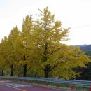 삼장초등학교 이미지