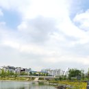 한강수변공원 Daum카페