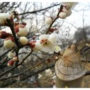 섬진강 트레킹코스 이미지