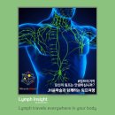 나드테라피