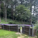 양평 주주송 독채펜션 이미지