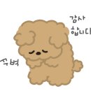 가원조명
