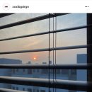 윈스블라인드 이미지