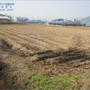 영오면사무소 이미지