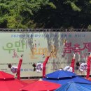 경희대박사문무태권도장 | 우만동 온마을 봄축제 경희대 박사 문무태권도(우만사회복지관 초청 시범)