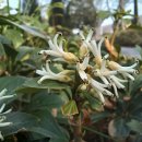 창이대로 이미지