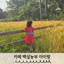 충남 예산 카페 아이랑 백설농부 포토존 모래놀이