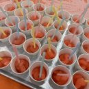 튼튼태권도장 이미지