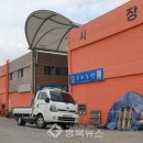 목행시장 충북뉴스