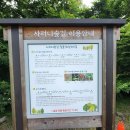 면역자연치유센터 이미지