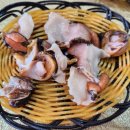 천지해녀할매집 이미지