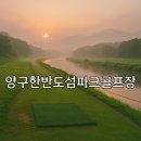 하천섬(주차장) 이미지