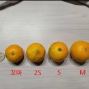 문장푸른마트 이미지