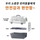 반려켄넬 이미지