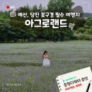 예산 아그로랜드 태신목장 체험 트렉터 수레국화 작약 양귀비 개화현황
