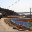 하구3리 Daum카페