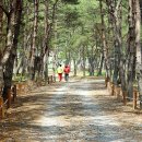 브론즈펜션 이미지