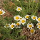 선린어린이집 이미지