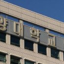 "그 간호사, 일부러 엄마 옆 앉더라고요"…그리고 살렸다 이미지