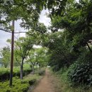 엄궁유수지체육공원 | [15분도시 부산] 엄궁유수지 공원 - 자연과 함께 숨 쉬는 곳 &amp; 생활체육시설과 테니스장도 있어요