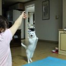 반해써