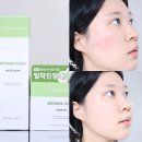 브링그린 사철쑥 피부 진정 올리브영 토너패드,수분크림 스킨케어 건성 , 수부지 추천 후기