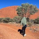 돈달약수터 | 호주여행 지구의배꼽 울룰루 에어즈락 커플여행 후기 (비행기/숙소/렌트카 예약 총경비 공유)