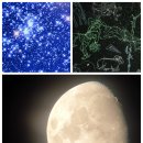 감성별빛투어 이미지