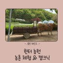 용인유전자영농조합법인 | 용인 동물 먹이주기, 농촌 체험, 당일 캠크닉 가능한 한터 농원 방문 후기