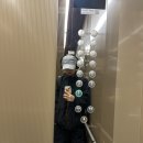 매봉 | 250317_⛰서울 청계산, 매봉, 582m, 혼등후기, 등린이후기