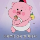 포바디짐 이미지