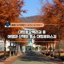 대청호오백리길 대청로하스길 | &lt;#포레스트여행기&gt; 대청호오백리길 중 여행과 산책의 명소 대청로하스길